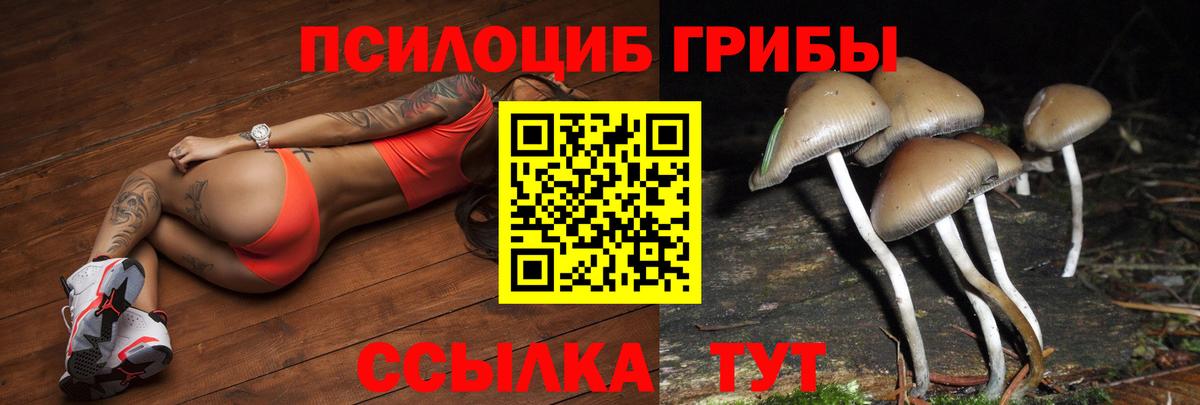 Галлюциногенные грибы мухоморы  Вход с VPN  Кириши  Псилоцибиновые грибы MAGIC MUSHROOMS 